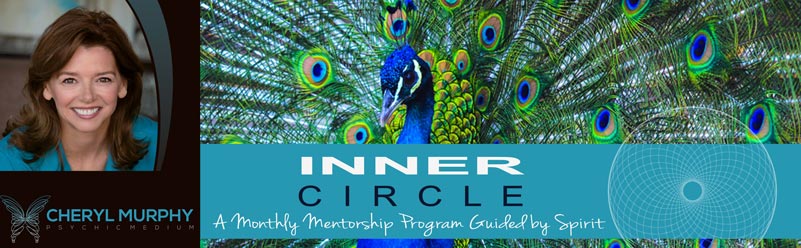 Inner Circle Monthly Mentorship program