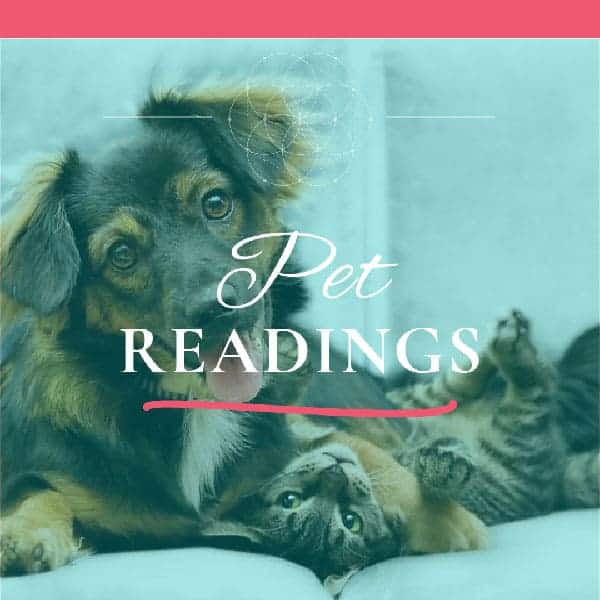 Pet Psychic Readings - Gifted Anumal Communicator