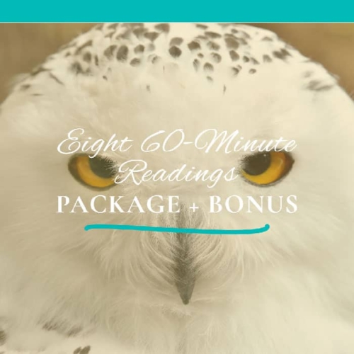 Eight 60 minute Readings Package + Bonus