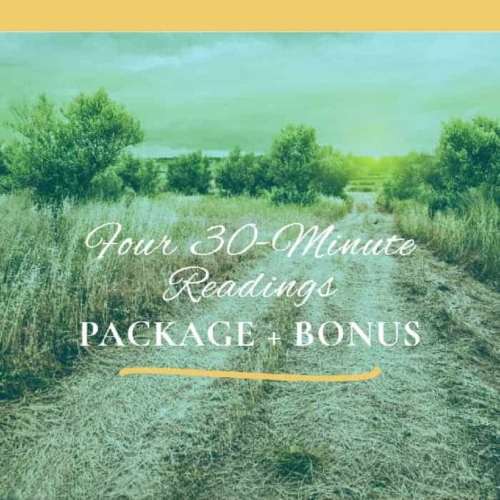 Four 30 minute Readings Package + Bonus