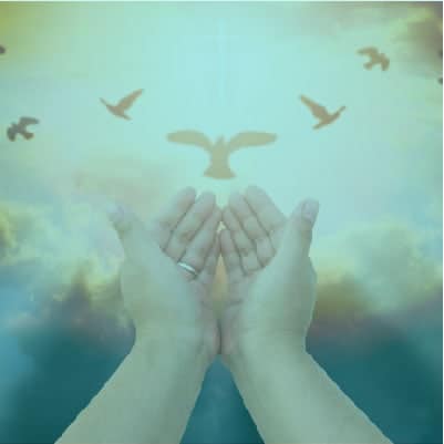 Spiritual Readings Mediumship Readings Los Angeles County CA with Cheryl Murphy