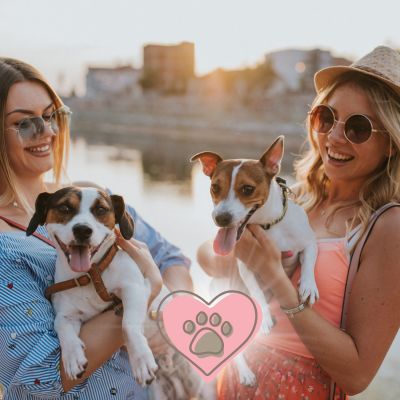 Pet Psychic Readings - Gifted Animal Communicator In Beverly HIlls California