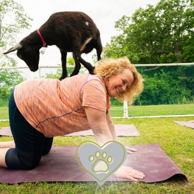 Psychic Readings & Farm Animal Communicator in Beverly Hills California Psychic Medium Cheryl Murphy