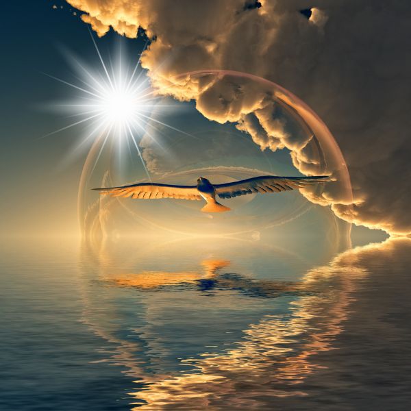 Spiritual Readings Mediumship Readings Los Angeles County CA with Cheryl Murphy