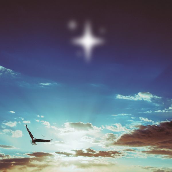 Get help making a decision. Psychic Readings for Valuable Insight at Every Fork in the Road