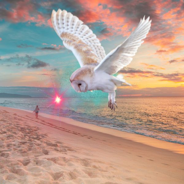 Discover powerful stories of connection with their guardian angels Discover powerful stories of connection with their guardian angels