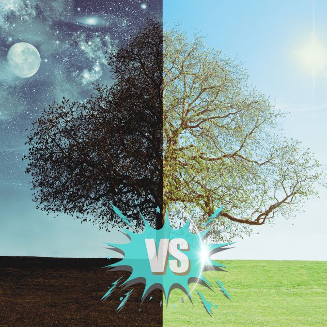 HOw to choose a psychic medium in Brentwood California